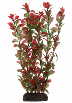Laguna растение "Людвигия" (30 см  Красный)