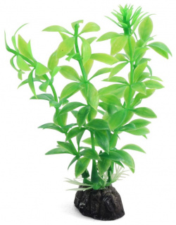 Laguna растение "Гемиантус" (10 см  Зеленый)