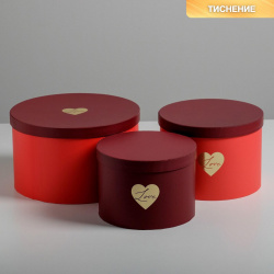Набор шляпных коробок для цветов 3 в 1  упаковка подарочная Дарите Счастье 710249