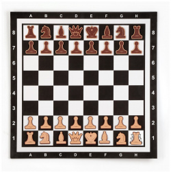 Фигуры для демонстрационных шахмат Время игры 01168589