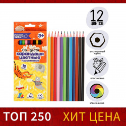 Карандаши 12 цветов calligrata  эконом заточенные шестигранные пластиковые картонная упаковка европодвес 01202391