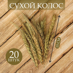Сухой колос пшеницы  набор 20 шт No brand 01241815