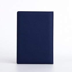 Обложка для паспорта  цвет синий No brand 02034034