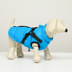 Куртка для собак со шлейкой  размер 18 (дс 40 см ог 50 ош 38 см) лазурная No brand 02426877