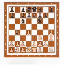 Демонстрационные шахматы 60 х см Время игры 02652530 