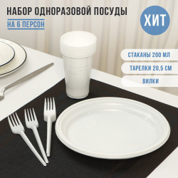 Набор пластиковой одноразовой посуды на 6 персон не забыли  02483783