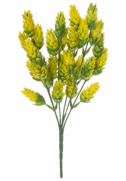 Хмель Вещицы 03733515 желтого цвета  необычный яркий цветок для