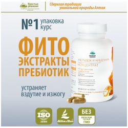 Концентрат Желудок и кишечник с экстрактом фенхеля +11 витаминов пребиотиком  60 капсул Простые решения 03563688