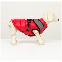Куртка для собак со светоотражающей шлейкой  размер 8 (дс 23 см ог 30 ош 22 см) красная No brand 05587670