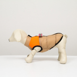 Куртка для собак на молнии  размер 8 (дс 23 см ог 30 ош 22 см) бежевая с оранжевым No brand 05587674