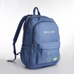 Рюкзак школьный из текстиля 2 отдела на молнии  3 кармана цвет голубой No brand 06528471