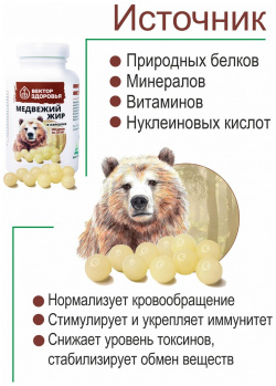 Медвежий жир  240 Простые решения 08192189