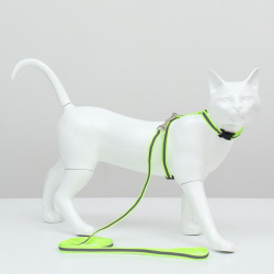 Комплект для кошек светоотражающий ширина 1 см шлейка 21 35 поводок 120  зеленый Пижон 08495114