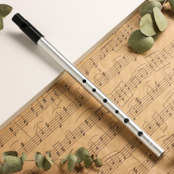 Флейта music life с  серебристая 32 5 см 08529763