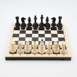 Шахматы гроссмейстерские с шашками No brand 08693262