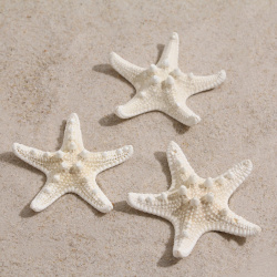 Набор из 3 морских звезд  размер каждой 5 10 см белые Пижон Аква 05587685