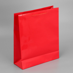 Пакет подарочный ламинированный  упаковка red m 24 х 29 9 см Доступные Радости 09944861