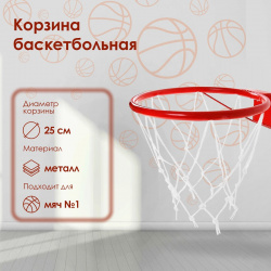 Корзина баскетбольная №1  d=250 мм с упором и сеткой No brand 010536278