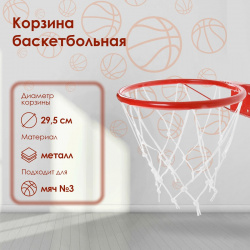 Корзина баскетбольная №3  d=295 мм с упором и сеткой No brand 010536279
