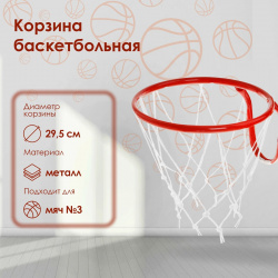 Корзина баскетбольная №3  d=295 мм с сеткой No brand 010536280