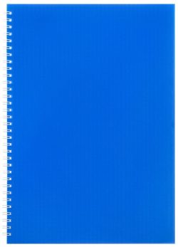 Тетрадь на гребне a4 48 листов в клетку calligrata синяя  пластиковая обложка блок офсет 011657920