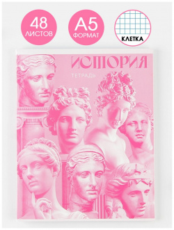 Тетрадь предметная 48 листов  а5 розовая серия со справ мат ArtFox STUDY 01233453