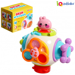 Развивающая игрушка IQ ZABIAKA 012417412 