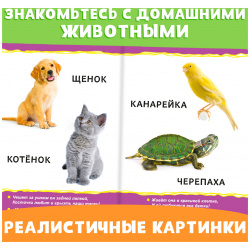 Набор картонных книг БУКВА ЛЕНД 013046329
