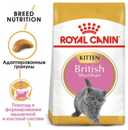 ROYAL CANIN British Shorthair Kitten Корм сух д/британских котят 400г 25660040R0