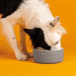 SCRUFFS Миска керамическая для собак "Classic Food"  серая 15х15х5см 500мл (Великобритания) Миски 822680