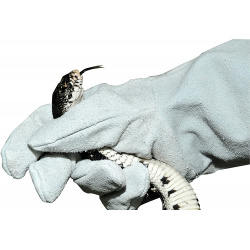 LUCKY REPTILE Перчатка защитная кожаная на левую руку "Protection Glove" (Германия) GL L