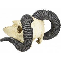 LUCKY REPTILE Декорация для террариума  череп "Skull Ram" 19 5х17х12см (Германия) DS R