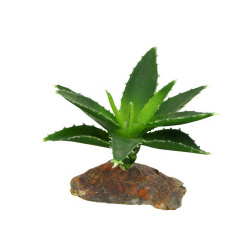 LUCKY REPTILE Декоративное растение для террариумов "Agava"  10см (Германия) IF 81