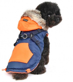 PUPPIA Жилет для собак утепленный с капюшоном и шлейкой "Orson"  синий XXL 42см (Южная Корея) PARD VT1569 NY