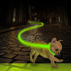 DUVO+ Ошейник для собак нейлоновый  светящийся зеленый 35см (Бельгия) 1270007/DV