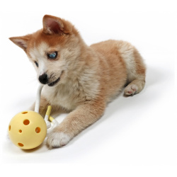 PETIT Игрушка для собак развивающая "Milo"  желтая 309/449493