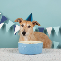 SCRUFFS Миска керамическая для собак "Classic Food"  голубая 15х15х5см 500мл (Великобритания) Миски 822789