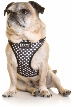 DOOG Шлейка для собак "NEOFLEX PONGO"  черная в белую крапинку L 50 70см (Австралия) HARN3SOFT