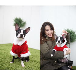 PUPPIA Куртка для собак с капюшоном новогодняя "Santa"  красная M 26см (Южная Корея) PDDF SC23 RD