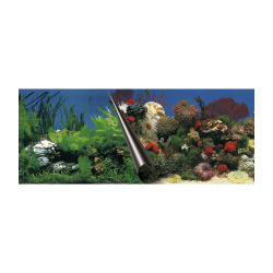 EBI Фон для аквариумов "Stone & Coral"  120х50см (Нидерланды) 241/108871