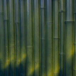 LUCKY REPTILE Фон для террариума "Bamboo"  78x48см (Германия) BB 80