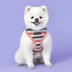 PUPPIA Шлейка для собак утепленная "Bryson"  розовая XL (Южная Корея) PAUD HA1844 IP