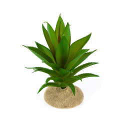 TERRA DELLA Растение для террариума "Алое"  зелёное 11x11x13см (Нидерланды) 242/465899/green