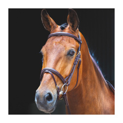 SHIRES SALISBURY Оголовье для лошади "Bodenham"  COB австралийский орех (Великобритания) 293/AUSNUT/COB