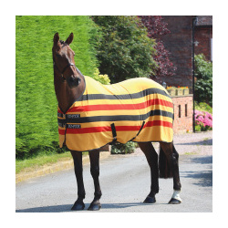 SHIRES TEMPEST Попона флисовая для лошади "Original Newmarket"  жёлт/чёр/кр 155 (Великобритания) 9327/N MKT/81