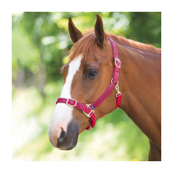 SHIRES Недоуздок для лошади регулируемый  COB розовый (Великобритания) 384B/PINK/COB