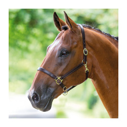 SHIRES BRIDLEWAY Недоуздок для лошади кожаный  FULL коричневый (Великобритания) V557/HAVANA/FULL