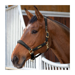 SHIRES Velociti Недоуздок для лошади кожаный LUSSO "Premium"  FULL черный (Великобритания) 4153/BLACK/FULL