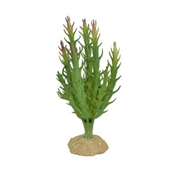 EXOPRIMA Растение для террариума "Богема"  8 5х6 5х16см Декор 40065/EP