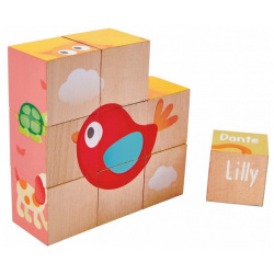 Деревянная игрушка Hape Кубики Лили (9 элементов) E0452_HP
